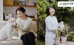 Hanasaku Life Insurance